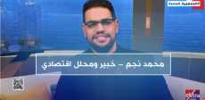 محمد نجم، محلل اقتصادي