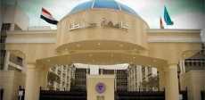 جامعة طنطا