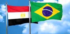 مصر والبرازيل