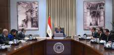 رئيس مجلس الوزراء