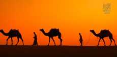 الهجرة النبوية