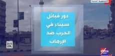 دور قبائل سيناء في الحرب ضد الإرهاب