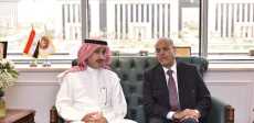 صور