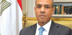 بدر عبدالعاطي وزير الخارجية