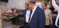 محافظ المنيا