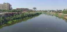 صور