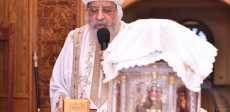 البابا تواضروس