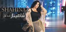 شاهيناز