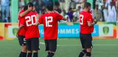 المنتخب الوطني