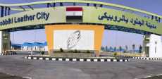 الروبيكي للجلود