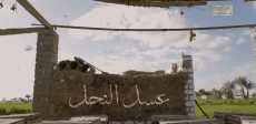 عسل النحل