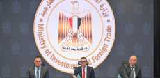 وزير الاستثمار