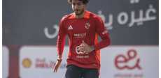 محمد هاني