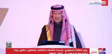 وزير الطاقة السعودي