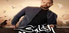 تامر شلتوت