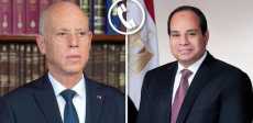 السيسي ونظيره التونسي