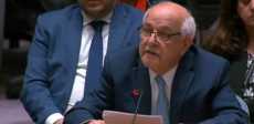 رياض منصور مندوب فلسطين لدى مجلس الأمن