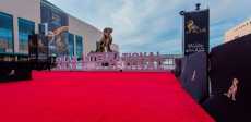 مهرجان وهران الدولي للفيلم العربي