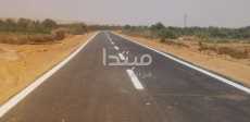 صور
