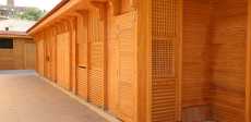 صور
