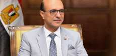 الدكتور أحمد المنشاوي