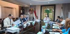 المجلس القومي للطفولة والأمومة