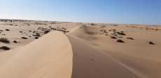 موقع عين العرب