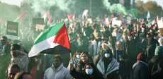 مسيرات دعم فلسطين