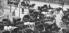 شوارع القاهرة عام 1950