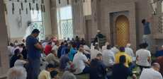 المجالس الإفتائية