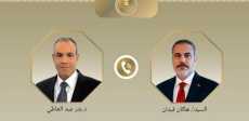 وزيرا الخارجية المصري والتركي