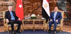 لقاء الرئيس السيسي ونظيره التركي