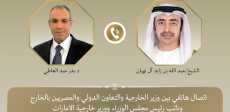 وزير الخارجية المصري ونظيره الإماراتي