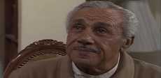 محمد السبع