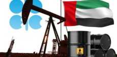 الإمارات وأوبك