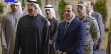 جولة الرئيس السيسي ونظيره الإماراتي