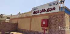 صور