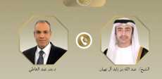 مصر والإمارات