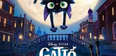 Gatto