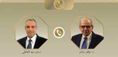 الاتصال الهاتفي