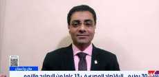محمد أنيس