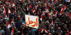 ثورة 30 يونيو