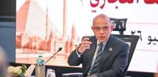 وزير الاستثمار