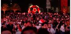 Egyptian Fan Zone