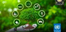 البرنامج الإنمائي للأمم المتحدة