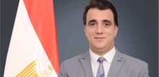 سيد طه فايز