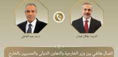 وزير الخارجية المصري والتركي