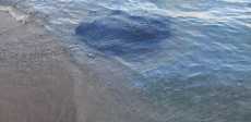 صور
