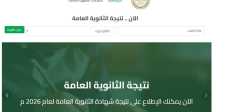 لينك نتيجة الدور الثاني ثانوية عامة 2026