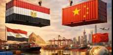 الصادرات المصرية إلى الصين